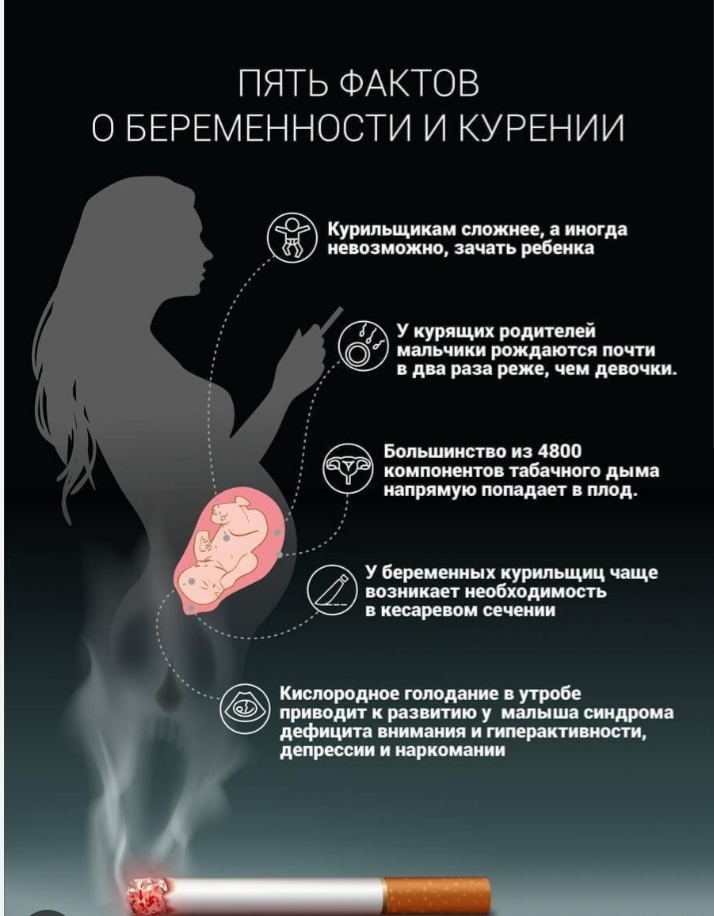 Факты