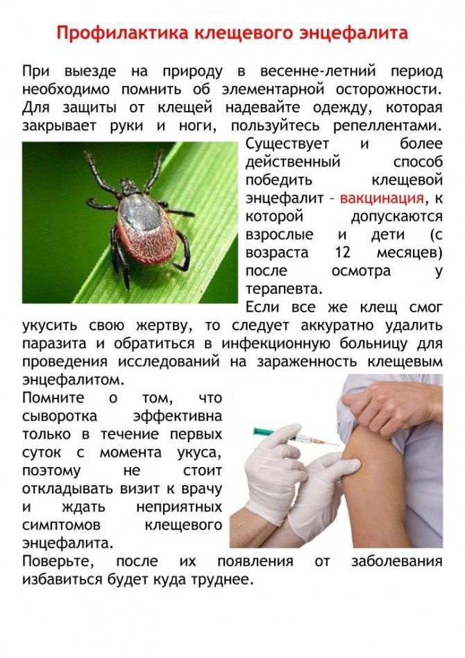 Клещи